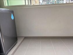 Blk 268C Punggol Sapphire (Punggol), HDB 4 Rooms #553611221